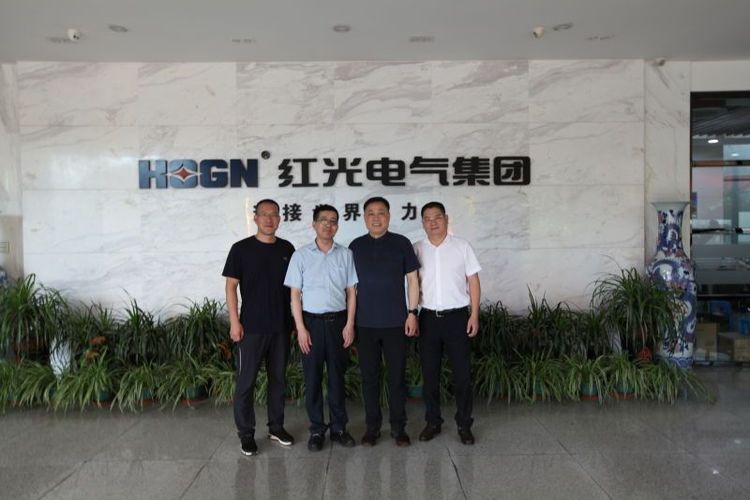 乐清市市场监视局刘勇局长一行莅临和记官网电气集团调研