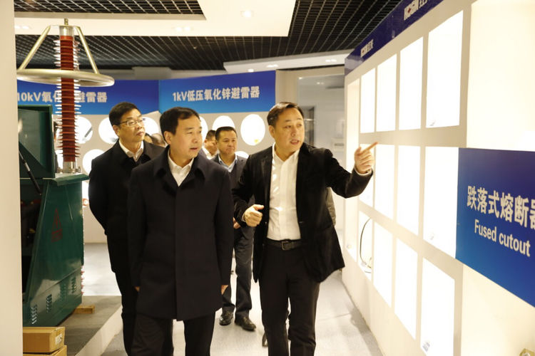 温州市委常委、组织部长马永良莅临和记官网电气集团调研指导